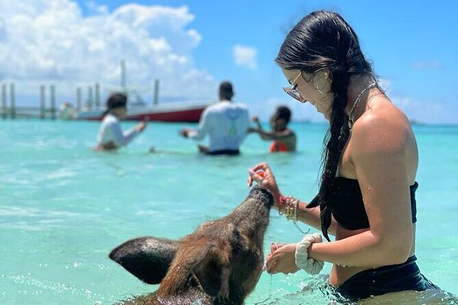 Nassau Swimming Pigs: Snorkeling, Lunch & Private Beach Club - Snorkeling time and beach activities: how the day plays out