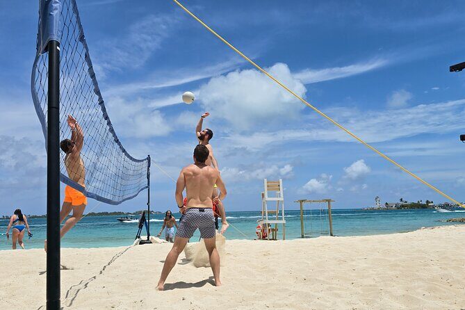 Nassau Swimming Pigs: Snorkeling, Lunch & Private Beach Club - Meeting point on Bay Street: practical logistics that keep you calm