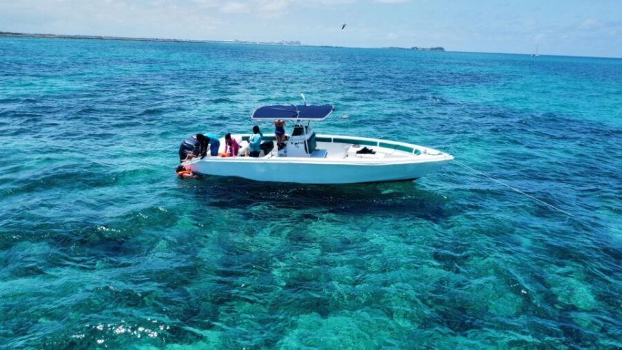 Nassau: Swimming with Pigs, Snorkeling, and Sightseeing Tour - Who this tour suits best (and who should rethink it)