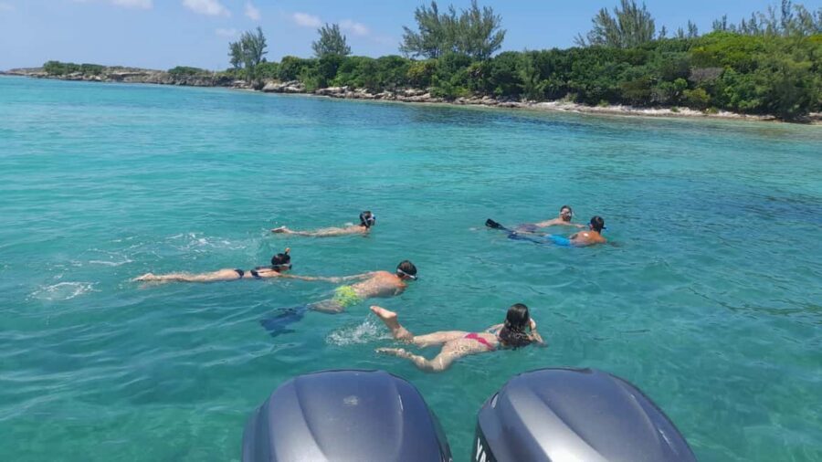 Nassau: Swimming with Pigs, Snorkeling, and Sightseeing Tour - Pig Island beach time and the optional swim with pigs