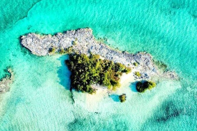 Nassau's Exclusive Kayaking Snorkeling Beach Adventure (6 Max) - The Small Cay Experience and the Ray Charles Moment