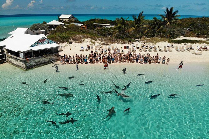 Original Exuma Powerboat Adventures - Allen’s Cay iguanas, Ship Channel Cay private-island time