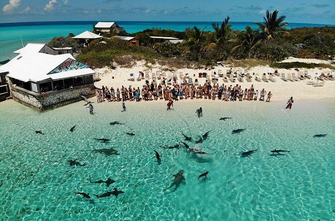 Original Exuma Powerboat Adventures - Sharks, stingrays, and pigs: hands-on moments with real rules