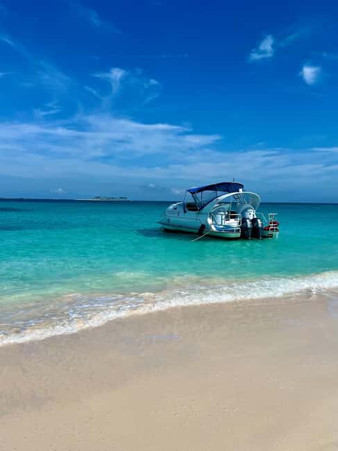 Paradise Island: Glass-Bottom Boat Tour with Live Commentary - Getting to Cay Island Tours at the Fishing Dock (near Margaritaville)
