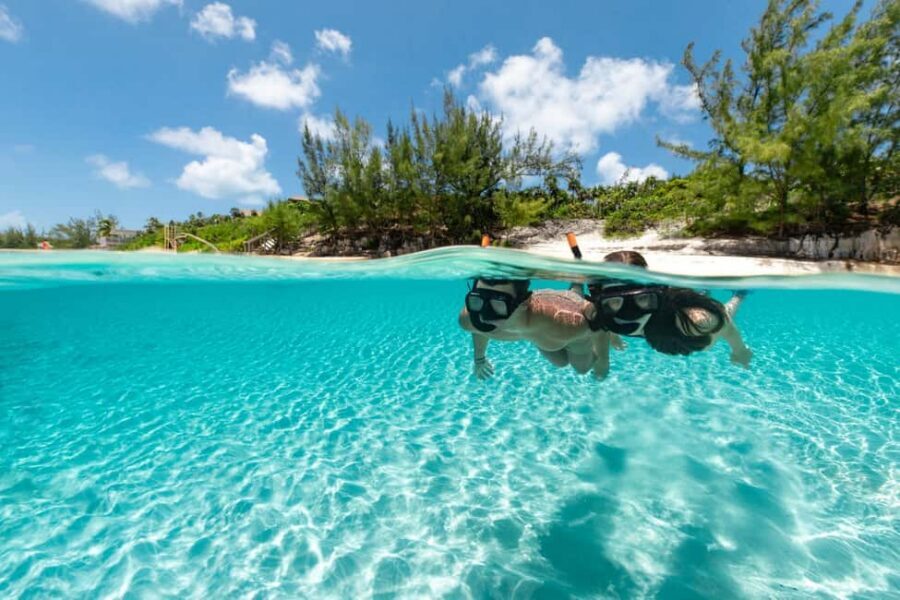 Paradise Island: Rose Island Tour with Swimming Pigs & Lunch - Guided Snorkeling and Fish Feedings: What You’ll See and How It Feels