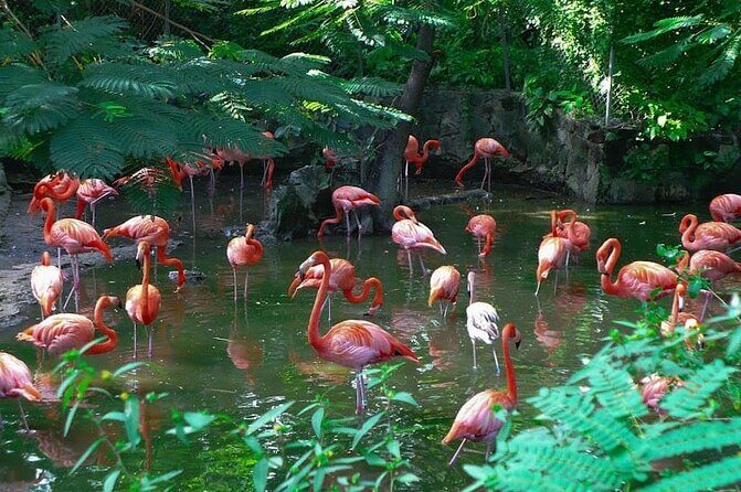 Private Beach Day/Guided TourThrough New Providence Island - Key highlights worth your time