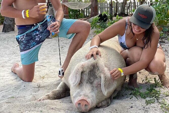 Private GroupTour Pigs/Turtles/Snorkeling/Lunch/Pickup/Dropoff - Key things that make this charter work in real life