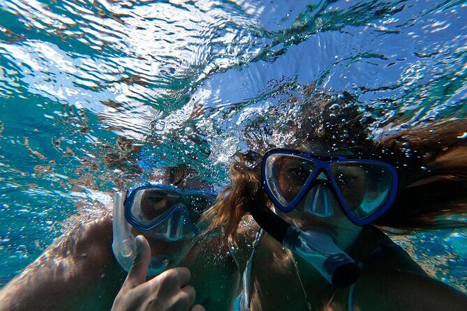 Private GroupTour Pigs/Turtles/Snorkeling/Lunch/Pickup/Dropoff - Rose Island lunch plus pig swimming: the plan is flexible