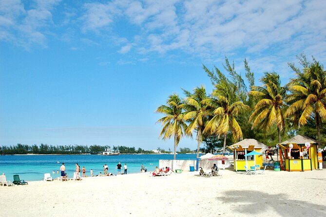 Private Guided Island Tour in Nassau Bahamas -Free Wifi & Drinks - Private Nassau in 3 Hours: Why This Format Works