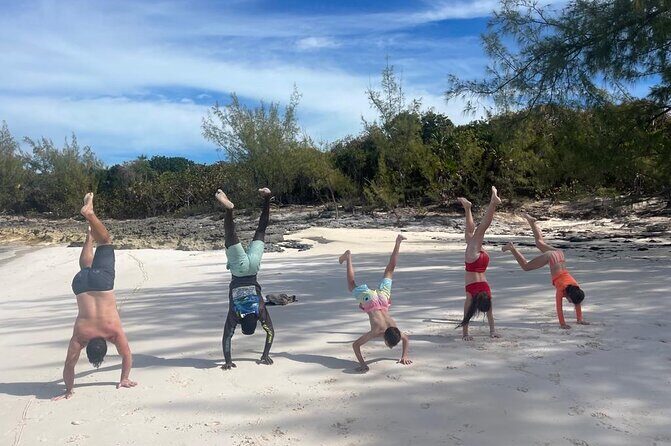Private Rose Island, Swimming Pigs, Snorkeling and Turtles - Swimming Pigs Add-On: Worth It for Some, Not for Everyone