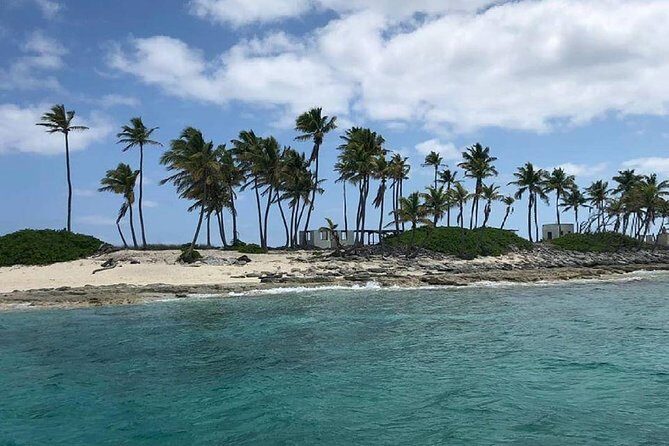 Private Rose Island, Swimming Pigs, Snorkeling and Turtles - Timing, Weather, and Why Turtle Days Can Change Fast