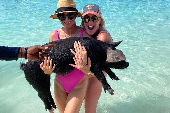 Private Rose Island, Swimming Pigs, Snorkeling and Turtles - Rose Island Beach Time: The Part That Feels Like a Vacation Within a Vacation
