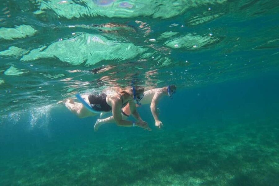 Rose Island Adventure: Turtle, Swim and Snorkel - Key highlights you’ll feel right away