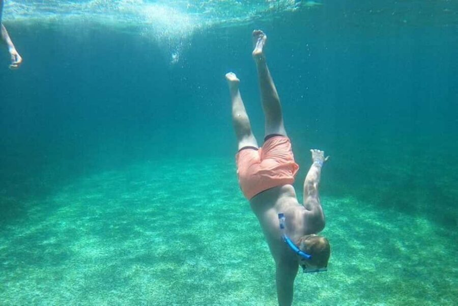 Rose Island Adventure: Turtle, Swim and Snorkel - A 3-Hour Plan: Nassau to Snorkel to Rose Island