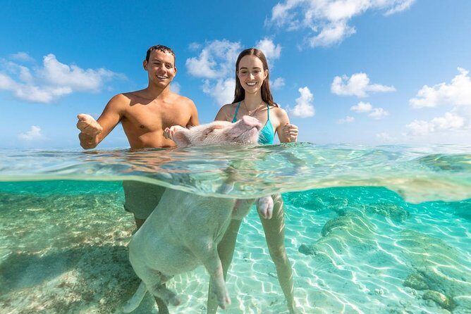 Sandy Toes The Original Rose Island and Swimming Pigs Tour - Drinks and that open bar upgrade question