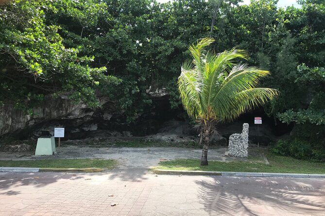 Swim with the Pigs and Explore Caves in Nassau - Key things you’ll notice before you go