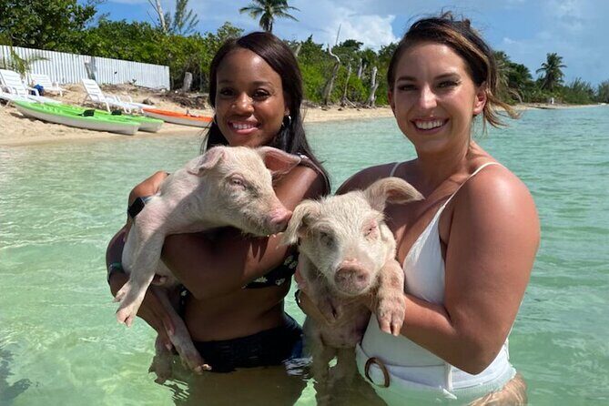 Swim with the Pigs and Explore Caves in Nassau - Price and What You Actually Get for $299