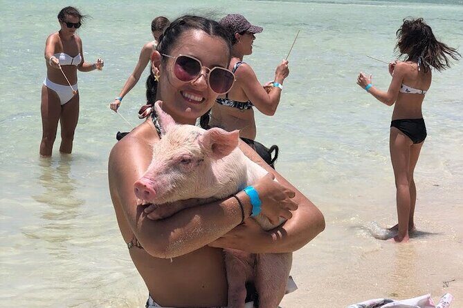 Swim with the Pigs and Explore Caves in Nassau - Stop at the pigs: Atholl Island style animal time