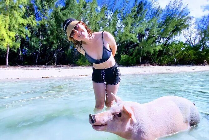 Swim with the Pigs and Explore Caves in Nassau - The caves: Caves of New Providence in about an hour