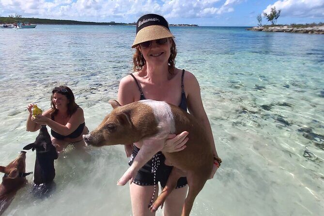 Swim with the Pigs and Explore Caves in Nassau - Adelaide Village beach time: volleyball, paddleboarding, and lunch