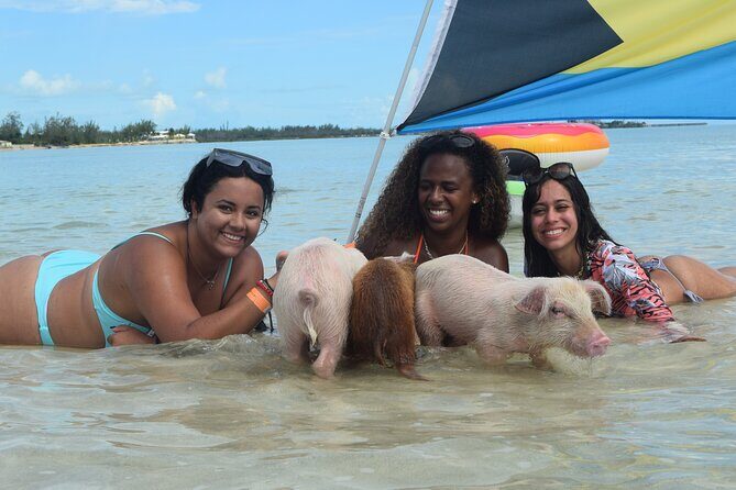 Swimming with Pigs in Nassau, Transportation Included - Rose Island beach time: chairs, water gear, and backup plans
