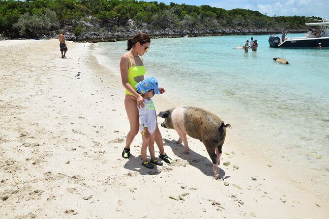 Swimming with Pigs in Nassau, Transportation Included - Lunch on Rose Island: what you get and how it lands