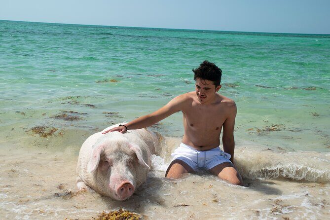 Swimming with Pigs in Nassau, Transportation Included - Who this tour is best for (and why it works)