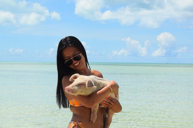 Swimming with Pigs in Nassau, Transportation Included - Logistics tips that will save your morning