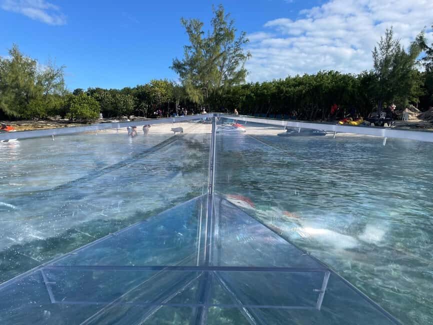 The Clear Boat Experience Bahamas drinks and snacks included - Atlantis Harbor Tour: Seeing the Big-Name Marina From Close Range