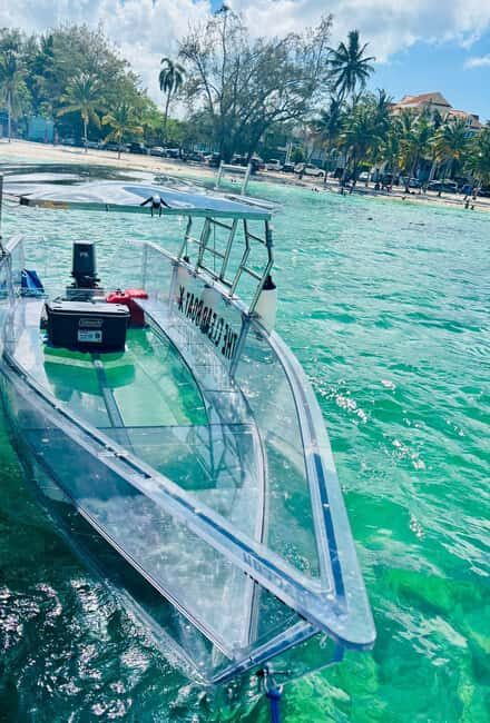 The Clear Boat Experience Bahamas drinks and snacks included - Athol Island and the Pigs: The Fun Factor Meets Real-Life Animal Care
