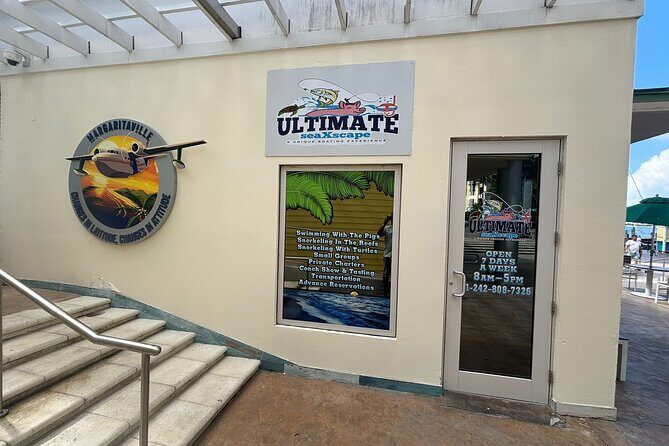 Ultimate SeaXscape Pigs/Turtles/Snorkel/Lunch/Drinks/PU/DO - Feeding the Swimming Pigs: The Main Attraction (and How It Works)